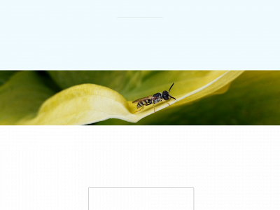 naturkontakt.dk snapshot
