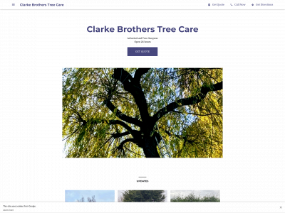 treesurgeonnuneaton.co.uk snapshot