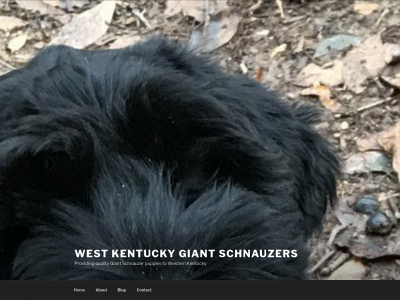 wkygiants.com snapshot