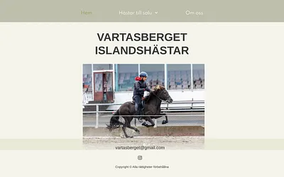 vartasberget.se snapshot
