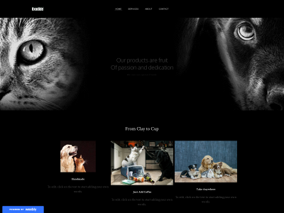 www.oxodide.com snapshot