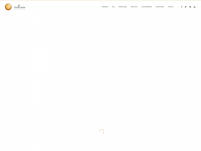 thei4center.com snapshot