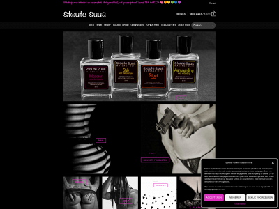 stoutesuus.nl snapshot