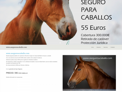 aseguresucaballo.com snapshot