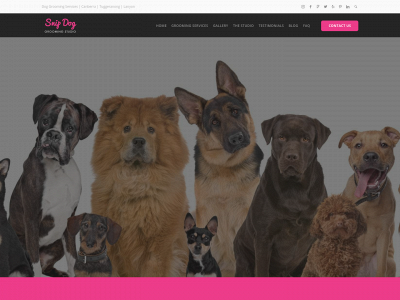 www.snipdog.com.au snapshot