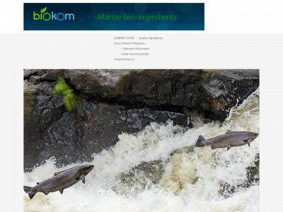 biokom.cl snapshot