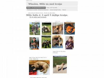 katholm.com snapshot