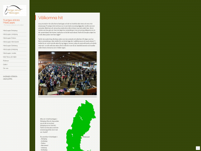 sverigesstorstahastloppis.se snapshot