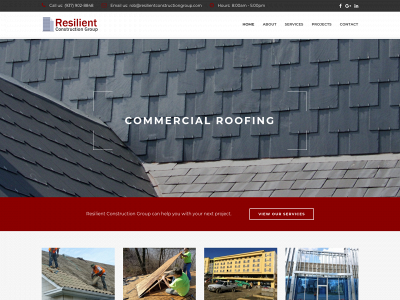 resilientconstructiongroup.com snapshot
