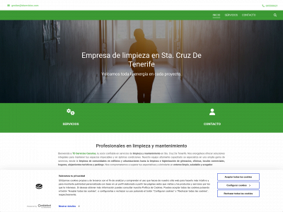 www.tdservicios.com snapshot