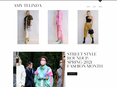 amytelinda.com snapshot