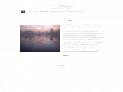 ankihammar.se snapshot