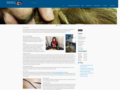 haarknopen.nl snapshot