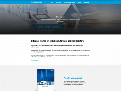 showhowinteractive.com snapshot