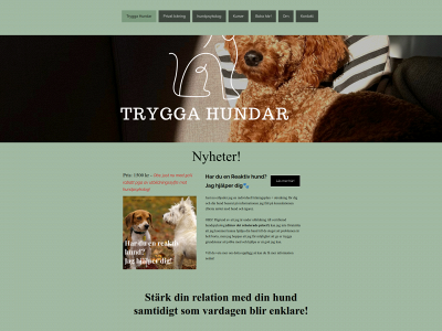 tryggahundarsthlm.se snapshot