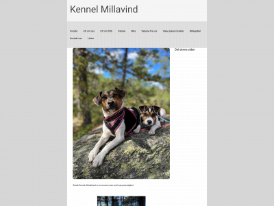 kennelmillavind.com snapshot