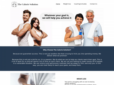 thecaloriesolution.com snapshot