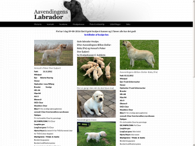 aavendingens-labrador.dk snapshot