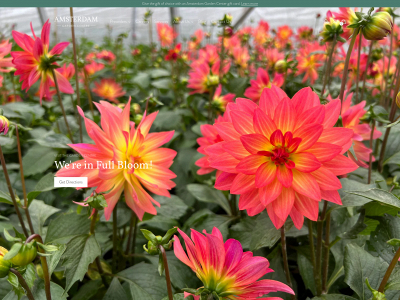 amsterdamgreenhouses.ca snapshot