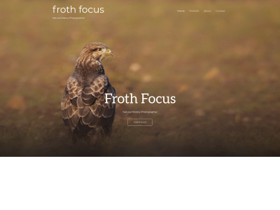 frothfocus.com snapshot