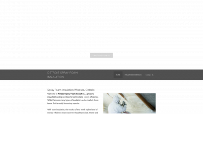 www.detroitsprayfoamservices.com snapshot