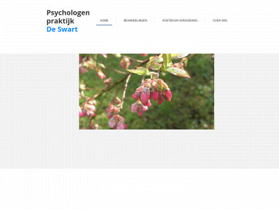 psychologenpraktijkdeswart.nl snapshot