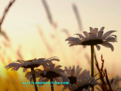 alittlenonfiction.com snapshot