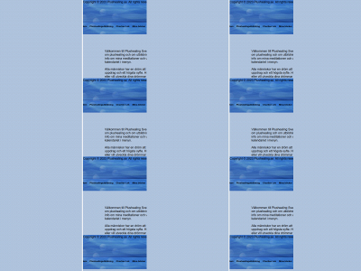 plushealing.se snapshot