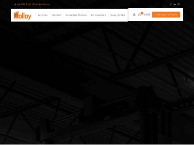 molloy.co snapshot
