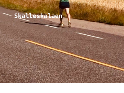 skalle.net snapshot
