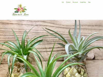 hibiscuslanebotanicals.com snapshot
