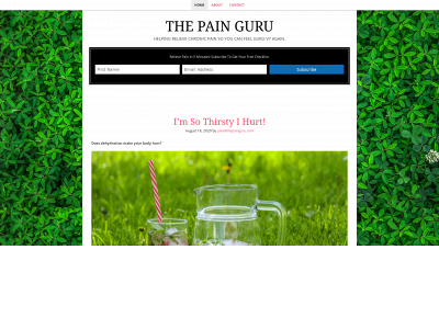 thepainguru.com snapshot