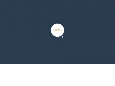 verikotchumburidze.com snapshot