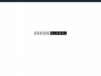 vavienglobal.com snapshot