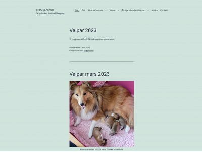 skogsbacken.se snapshot