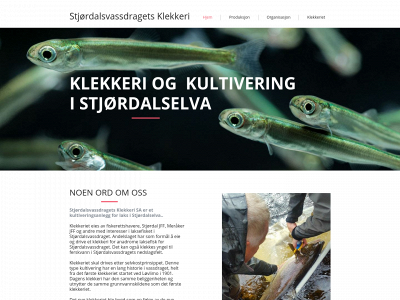 stjordalselva.com snapshot