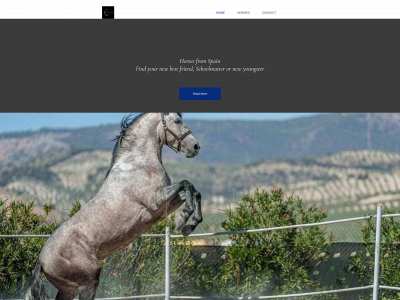 spanishhorseshop.online snapshot