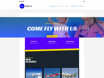 flynz.co snapshot