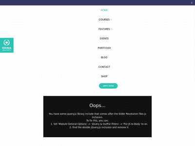 ceoacademy.in snapshot
