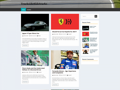 tracksidesidetracks.com snapshot