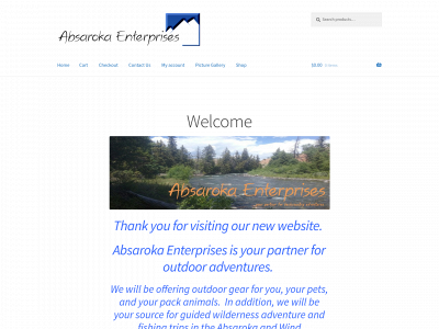 absarokaenterprises.com snapshot