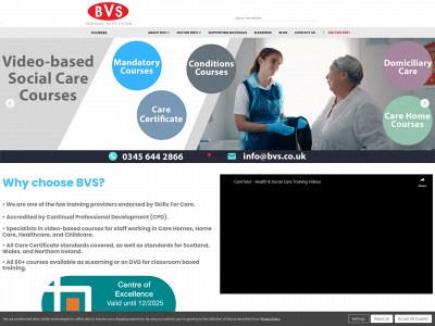 bvs.co.uk snapshot