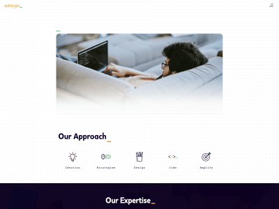 amngo.com snapshot