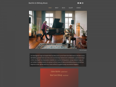 bachlin-elkholy.com snapshot