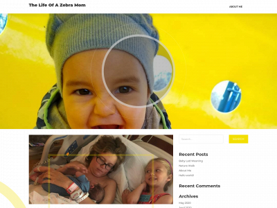 lifeofazebramom.com snapshot