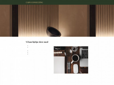 capoconsulting.no snapshot