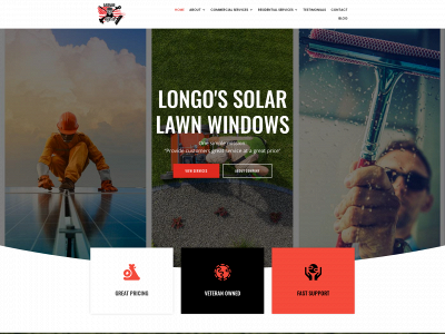 longossolarcleaning.com snapshot