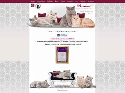 bonibrit.lt snapshot
