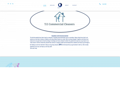 tecommercialcleaners.co.uk snapshot