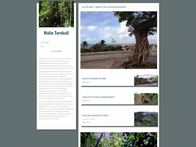 levaibrasilien.se snapshot